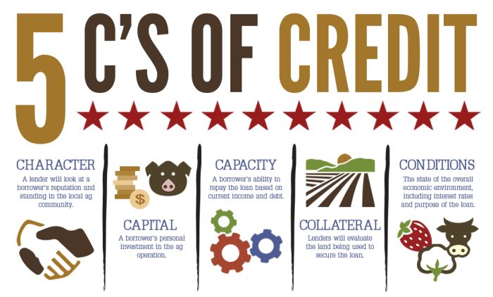 5 C's of credit