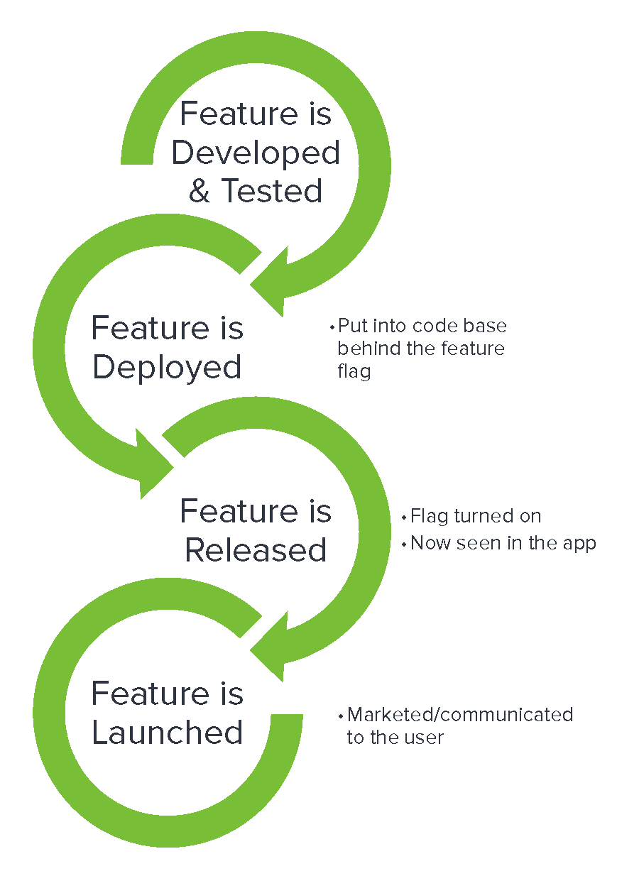 New product release cycle